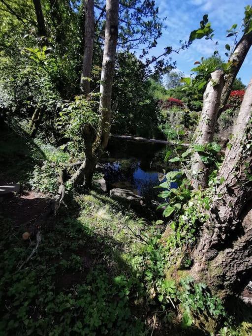 Glan-Yr-Afon Cottage Two Bedrooms Sennybridge Ngoại thất bức ảnh